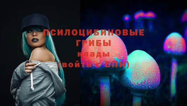 синтетический гашиш Горнозаводск