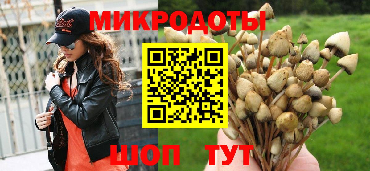 Новомосковск  Галлюциногенные грибы Psilocybine cubensis  Вход с VPN 