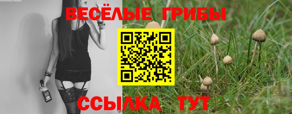 Галлюциногенные грибы мухоморы Новомосковск