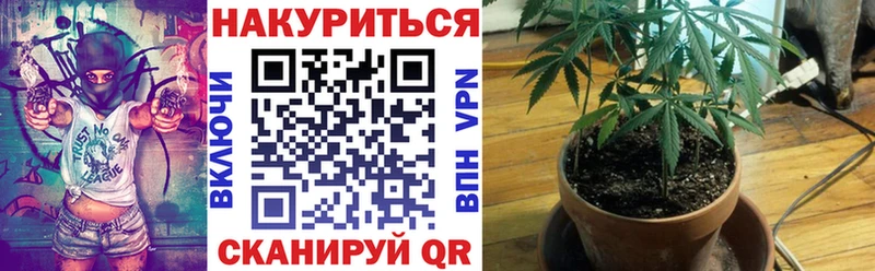 Шишки марихуана ГИДРОПОН  где найти   Новомосковск 
